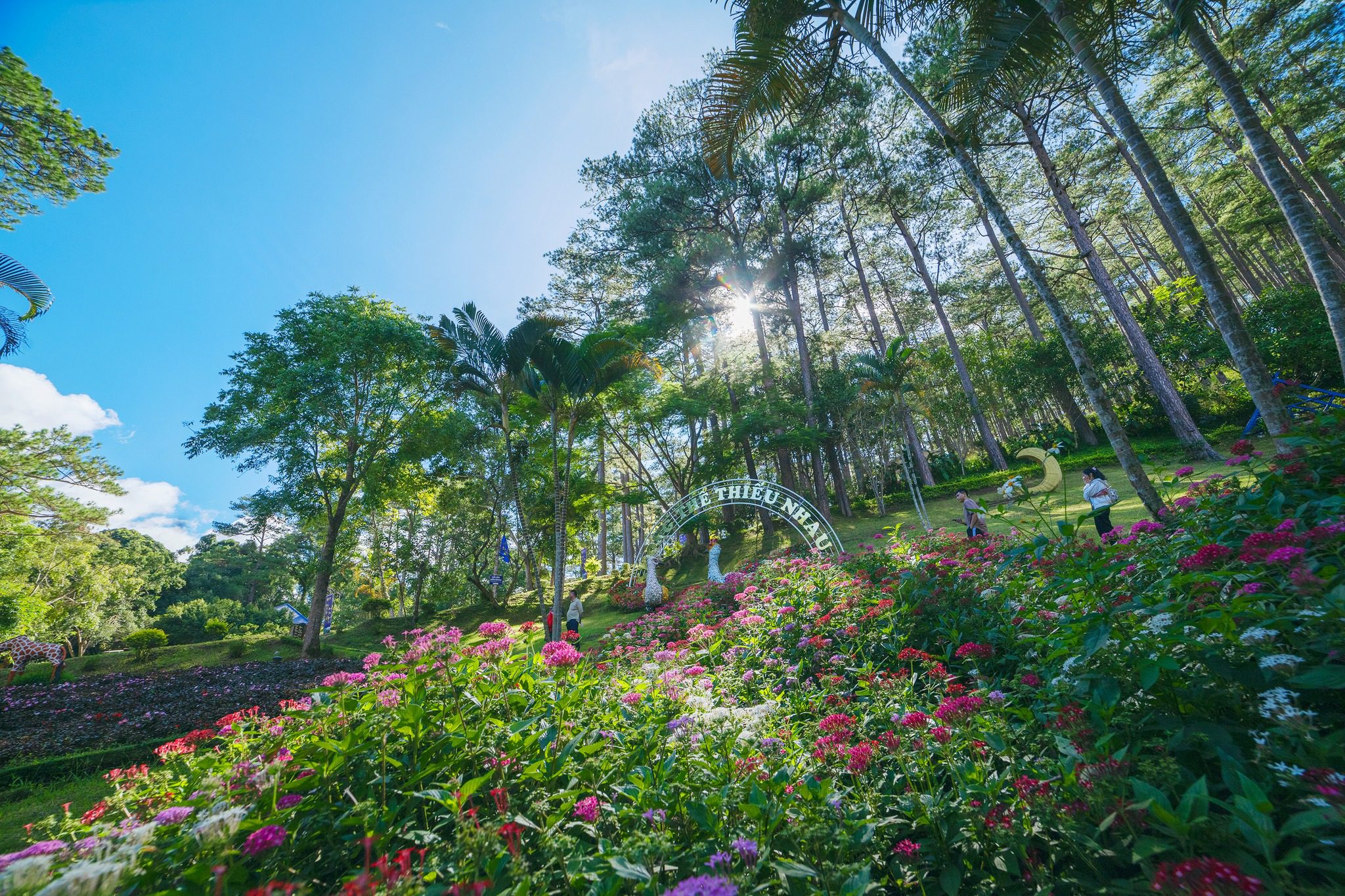 Vườn địa đàng giữa chốn nhân gian tại Khu du lịch sinh thái Tea Resort Prenn