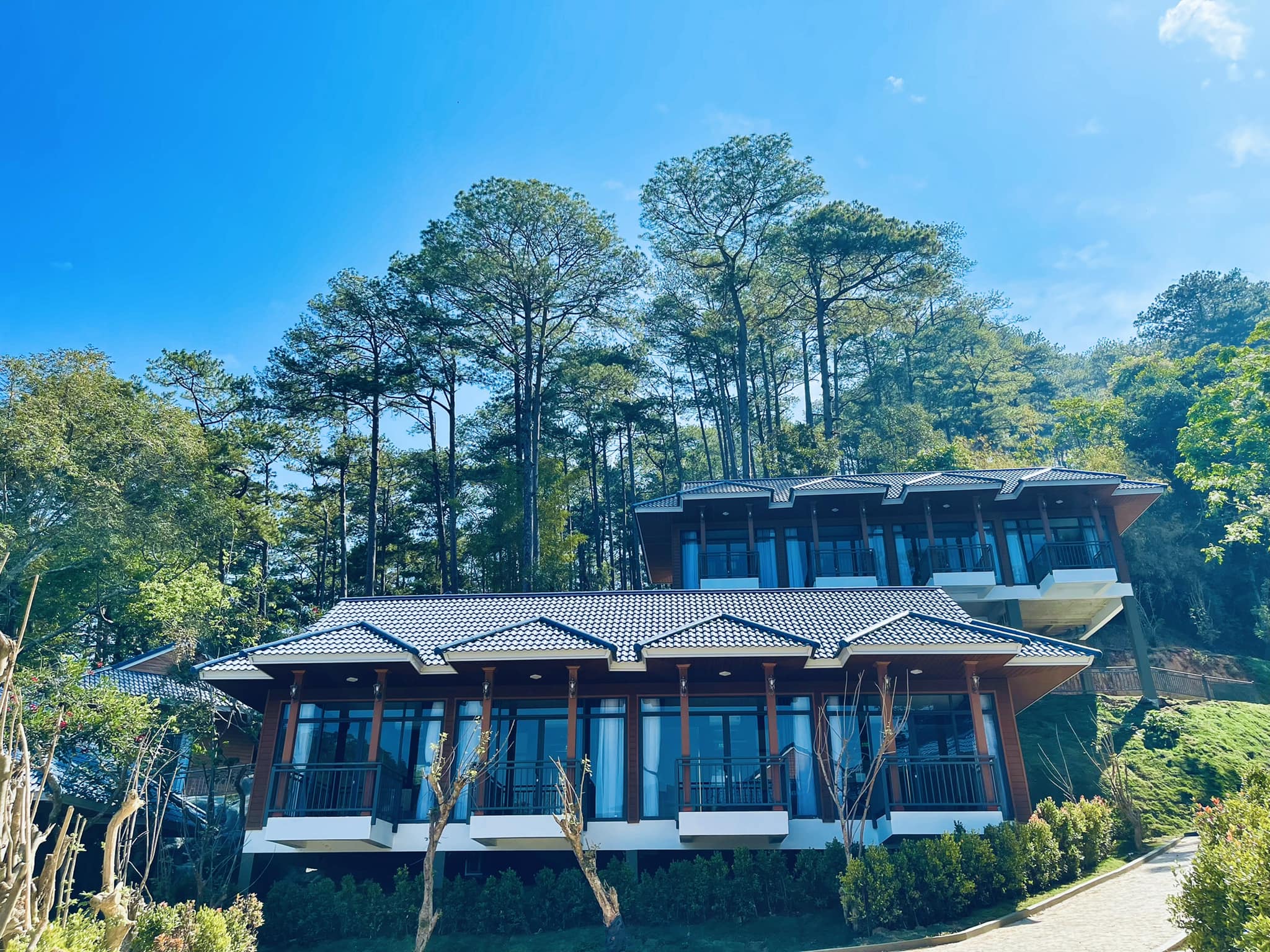 khu nghỉ dưỡng Tea Resort Prenn Đà Lạt