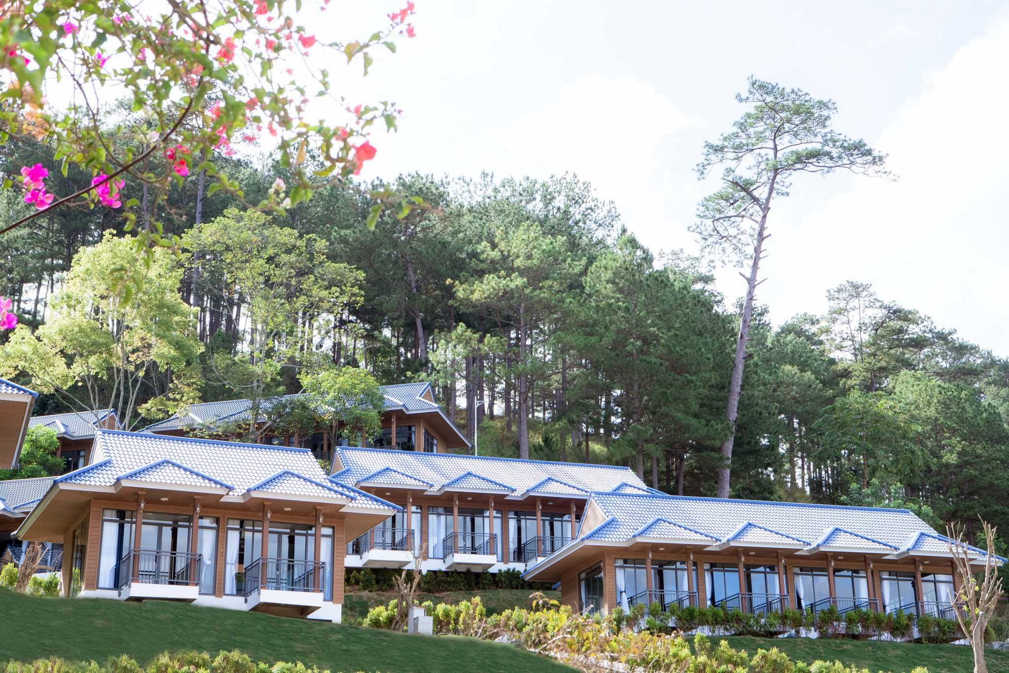 Tea Resort Prenn Co Gi Hap Dan Khu Nghi Duong Cao Cap