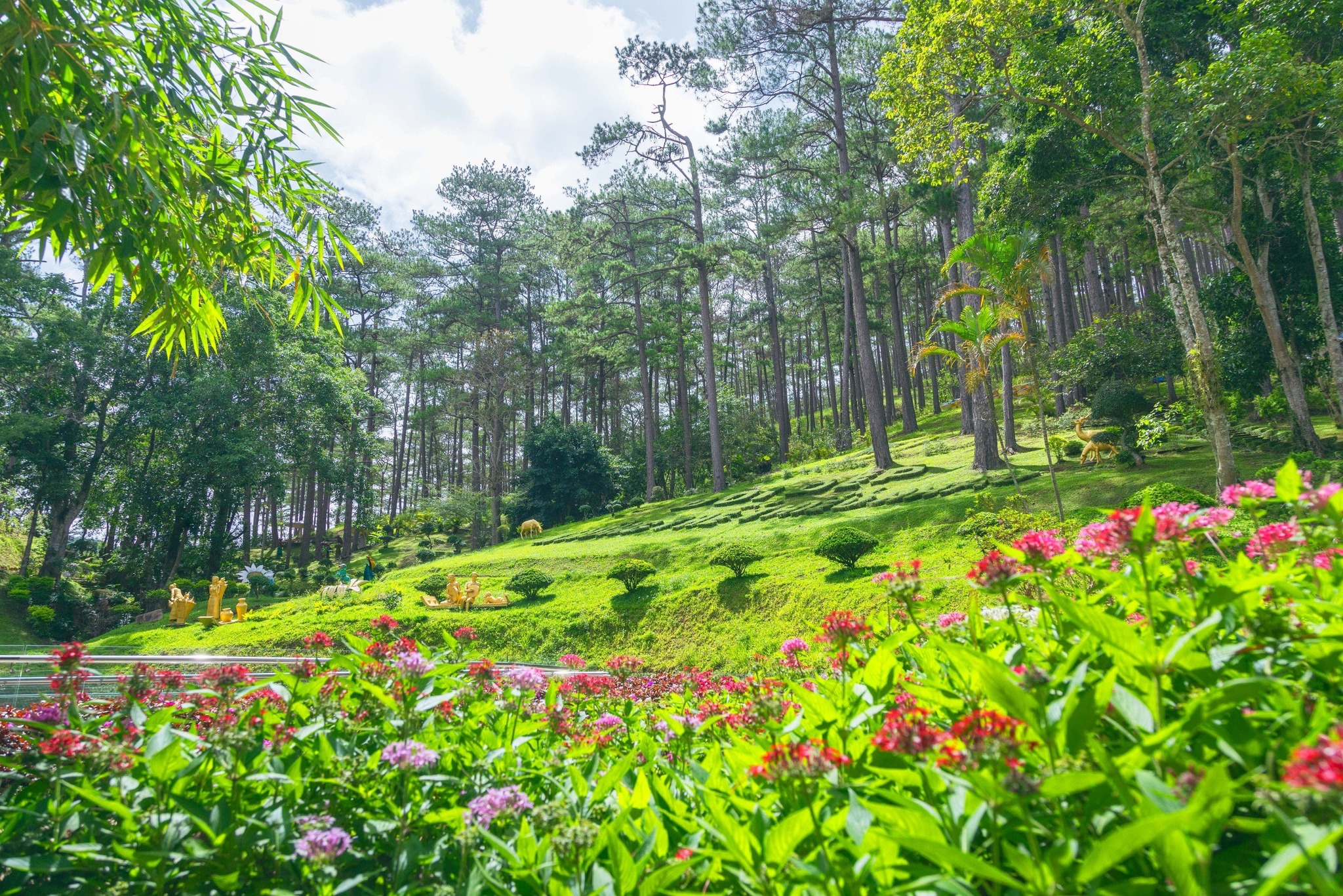 The park is filled with green and hundreds of brilliant flowers