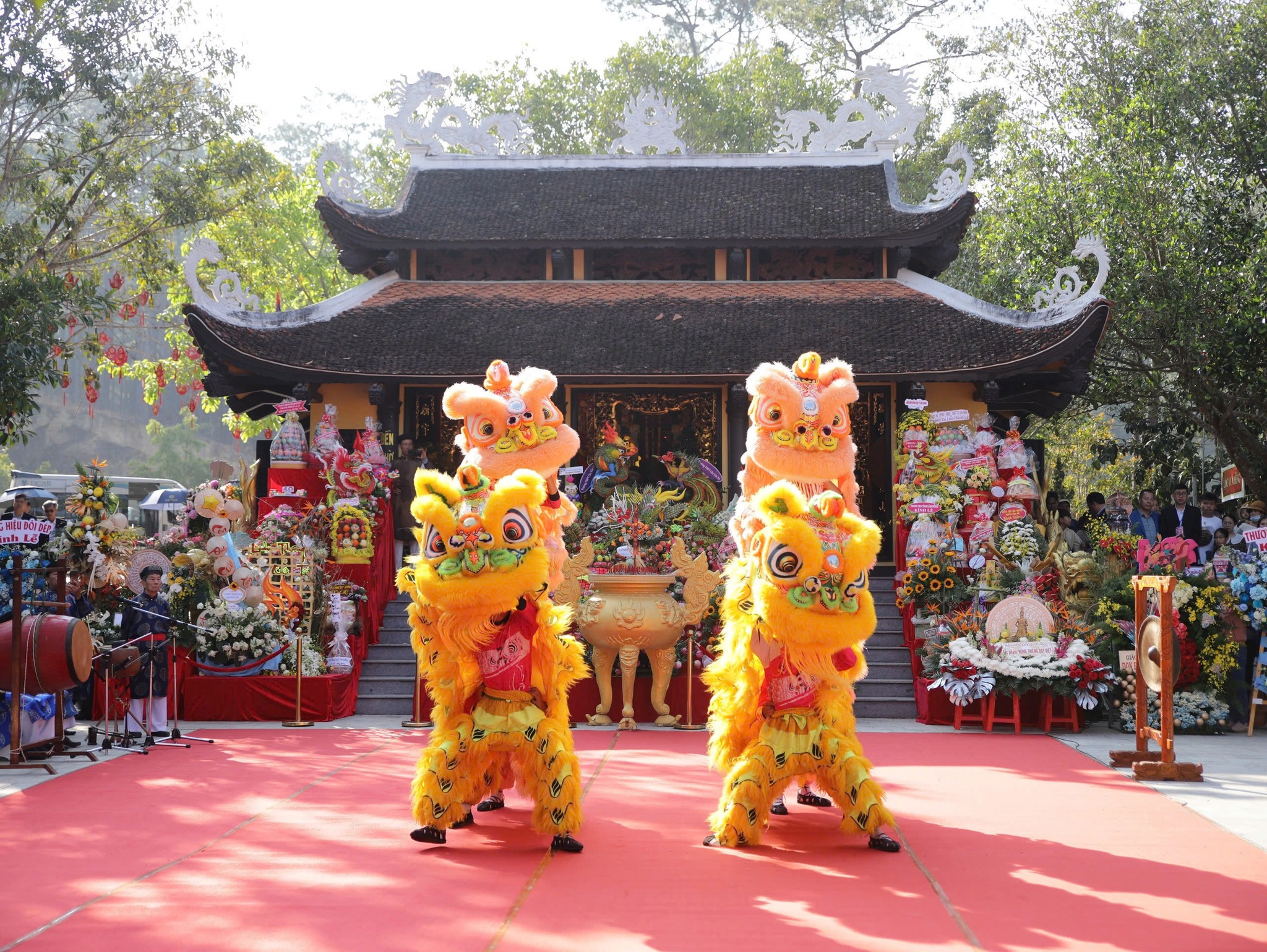 495154934 1120584800110935 7439006640150181276 N